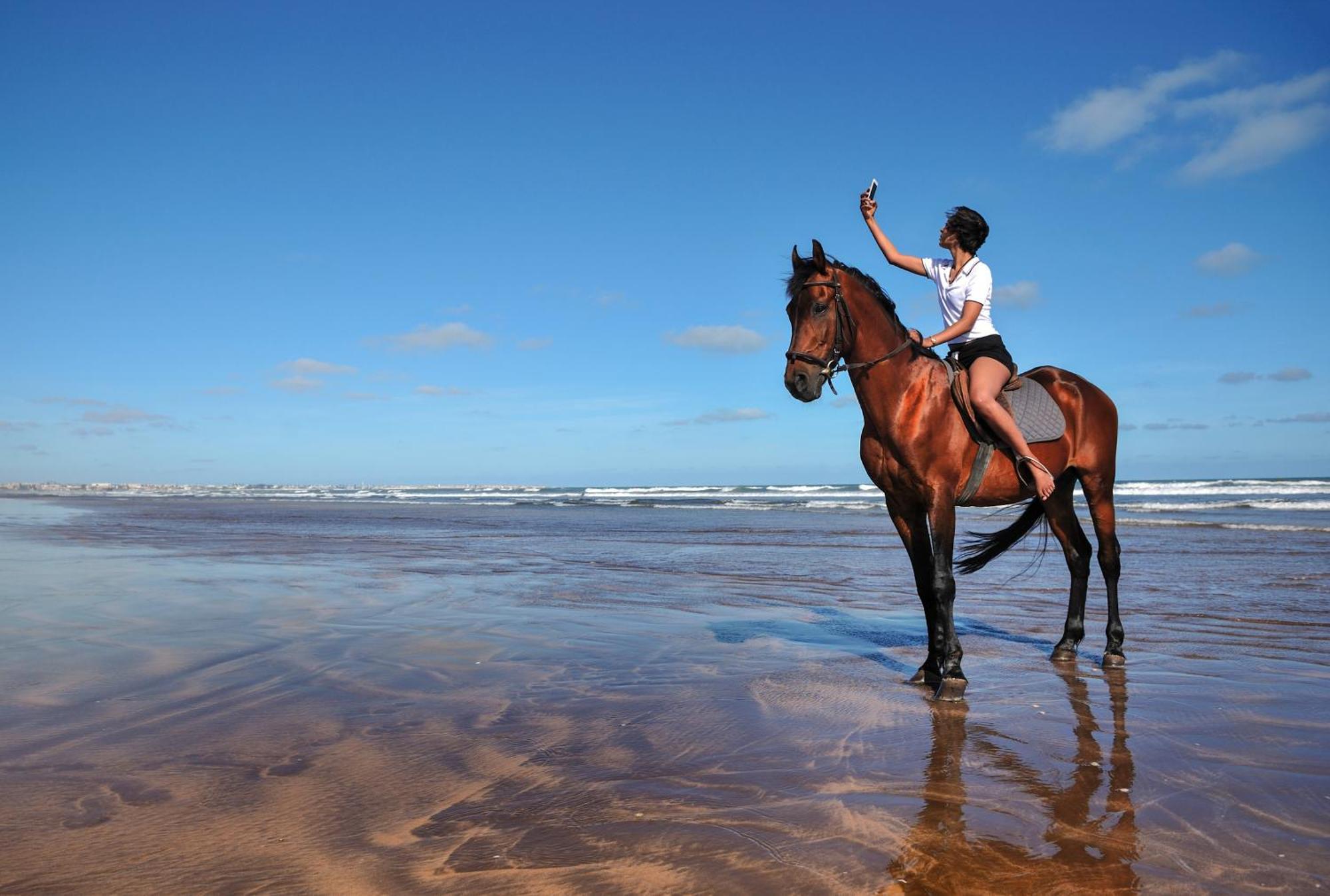 Pullman Mazagan Royal Golf & Spa El Jadida Kültér fotó A horse on the beach